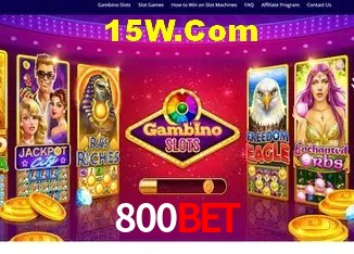Sistemas de Segurança 800Bet