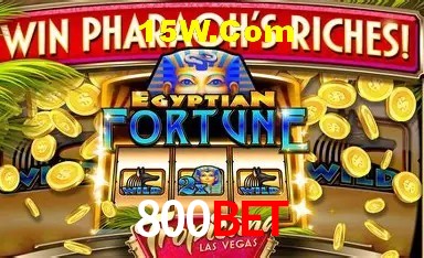 Casino Ao Vivo 800Bet