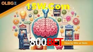 Seasonal Promotions 800Bet