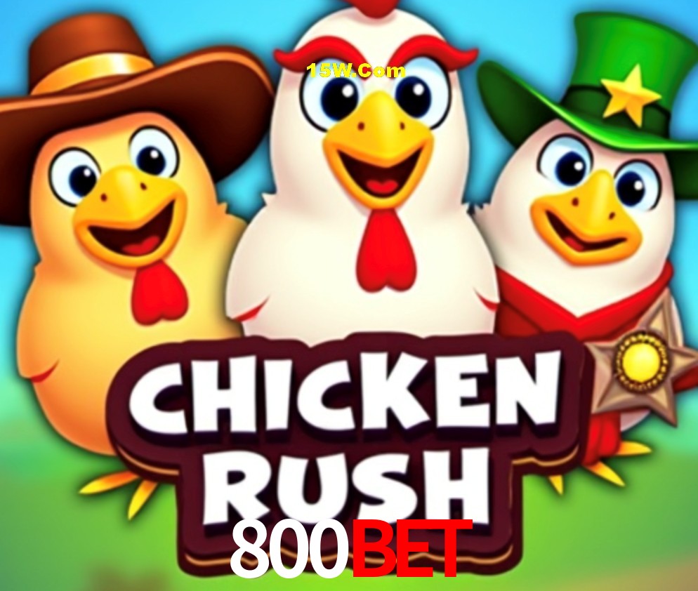 Experiência VIP 800Bet