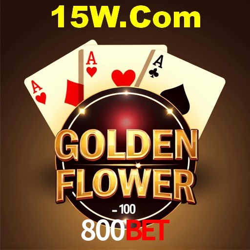 Casino VIP 800Bet